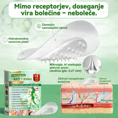 🌈BSWELL® Nano mikroneedling shujševalni obliž (Samo enkrat na dan, vidne spremembe v 28 dneh)  ✅ Za debelost, zdravje srca in ožilja, sladkorno bolezen, spalno apnejo, zdravje črevesja, težave s sklepi in še več.