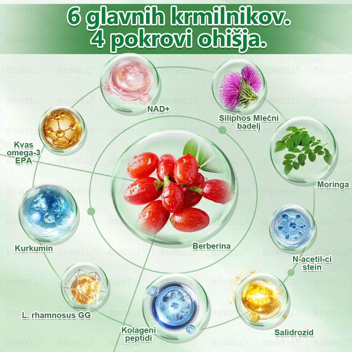 🌈BSWELL® Nano mikroneedling shujševalni obliž (Samo enkrat na dan, vidne spremembe v 28 dneh)  ✅ Za debelost, zdravje srca in ožilja, sladkorno bolezen, spalno apnejo, zdravje črevesja, težave s sklepi in še več.